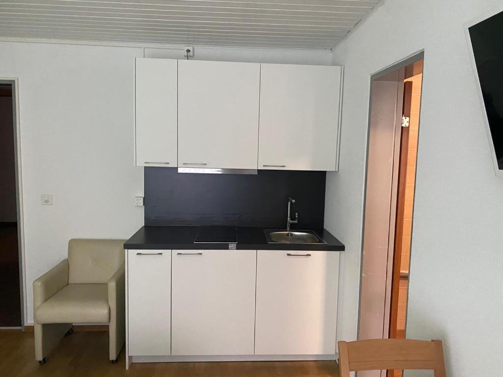 Studios With Kitchenette Бирсфельден Экстерьер фото